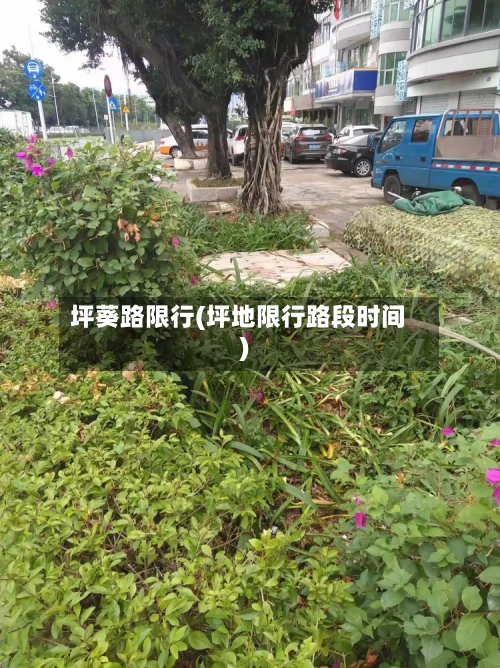 坪葵路限行(坪地限行路段时间)