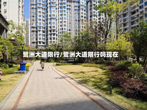 鹭洲大道限行/鹭洲大道限行吗现在